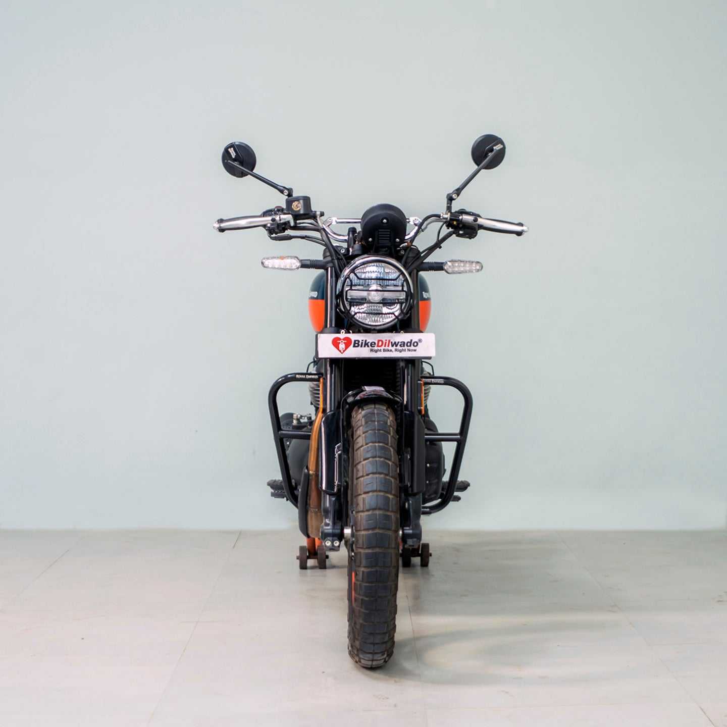 Royal Enfield Bear 650 - Image 3